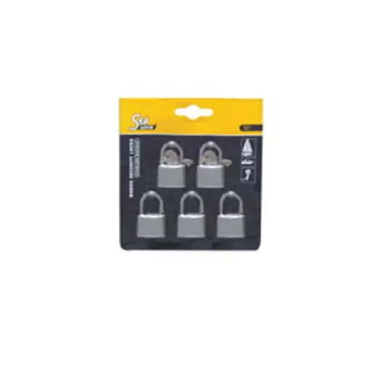 Set of 5 Padlocks